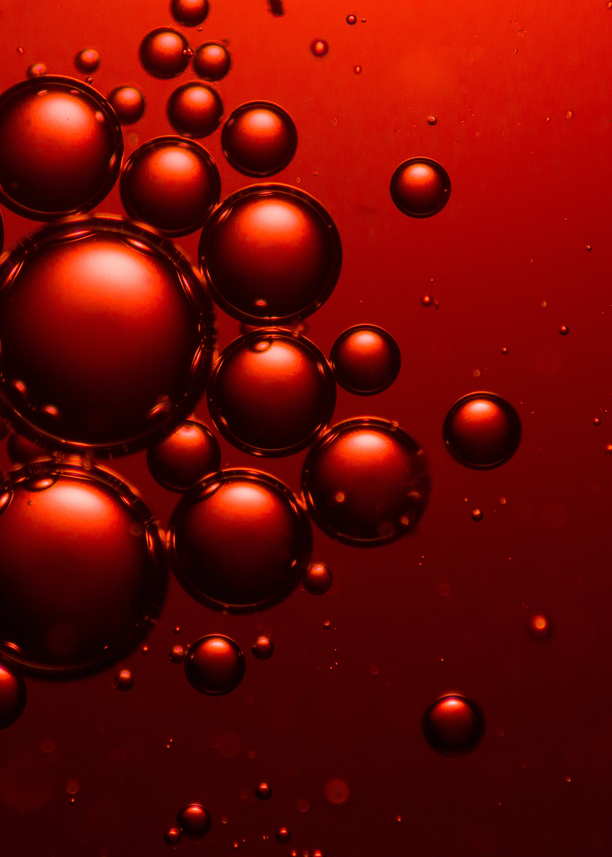 Bioxcin Forte Haarserum – Tegen haaruitval – 3 x 50ml