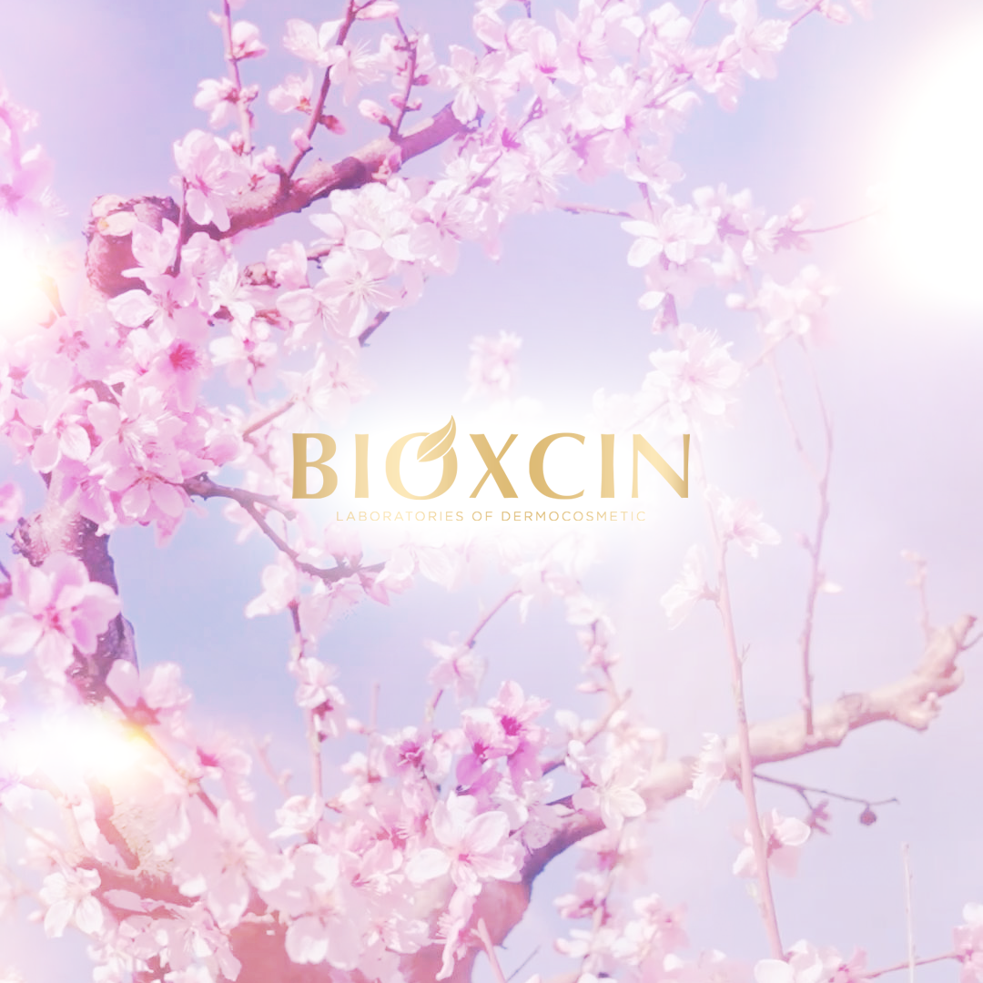 Bioxcin Shampoing Huile Nutritive - Cheveux Secs & Abîmés - 3 x 300 ml